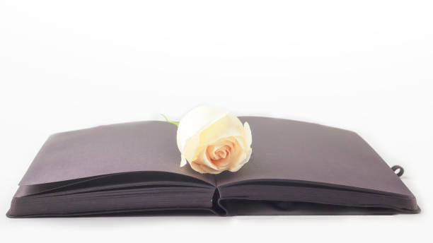 istock Blank open black diary (notebook, sketchbook) decorated with white roses with space for text or lettering. Concept of writing memoirs, reminiscence, life story. Composition for Memorial Day. 1272967949