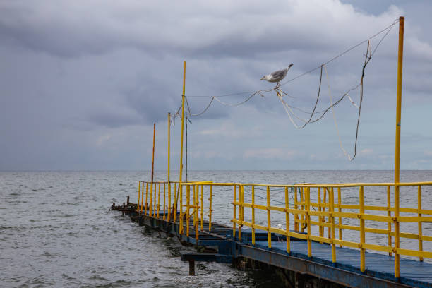 istock Seagull sitting on rusty jetty on the Baltic Sea in cloudy day 1272968353