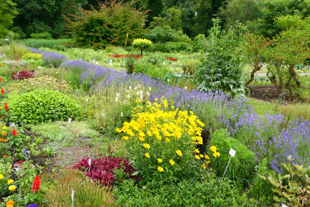 istock Beautiful summer garden 1272968676