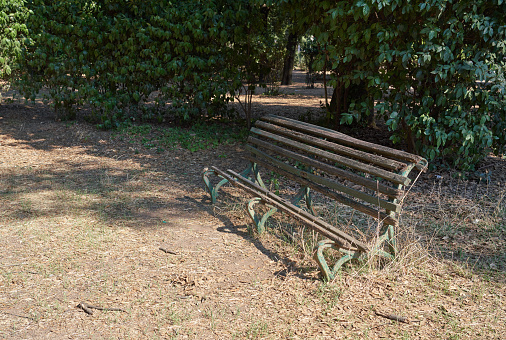 Broken bench in Pincio gardens