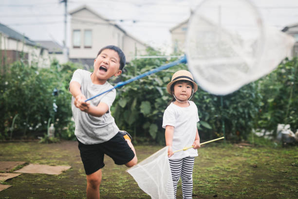 Two little sibling brothers playing with scoop-net on the meadow on warm and sunny summer or spring day. Active leisure for children. Kid boy best friends having fun together outdoors.