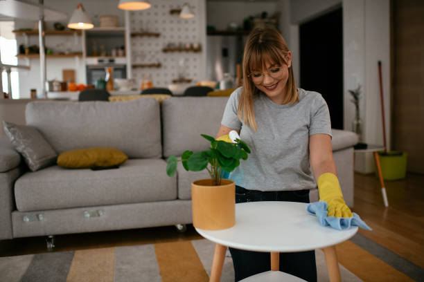 istock Young attractive woman cleaning home. 1272972910