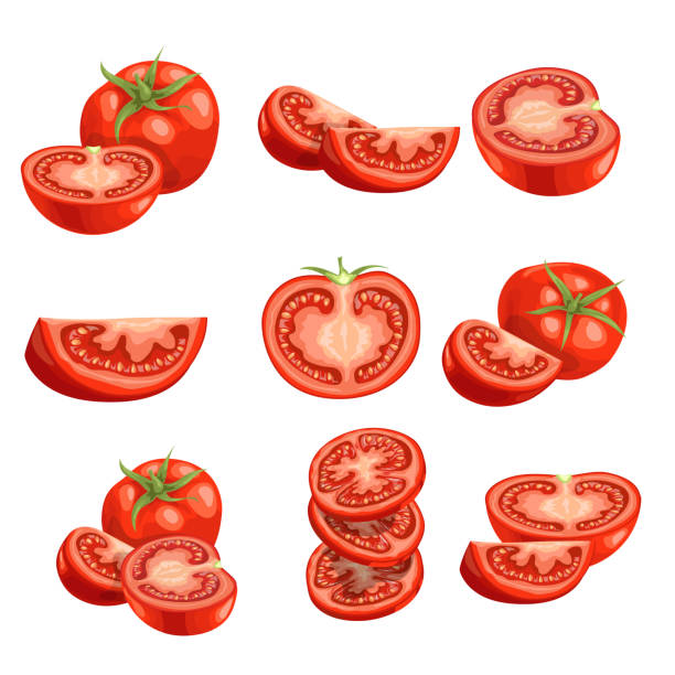 Fresh cartoon tomatoes. Red vegetables in flat design. Cut and slices, single and group farm fresh tomatoes. Vector illustrations isolated on white background. Fresh cartoon tomatoes. Red vegetables in flat design. Cut and slices, single and group farm fresh tomatoes. Vector illustrations isolated on white background. tomato slice stock illustrations
