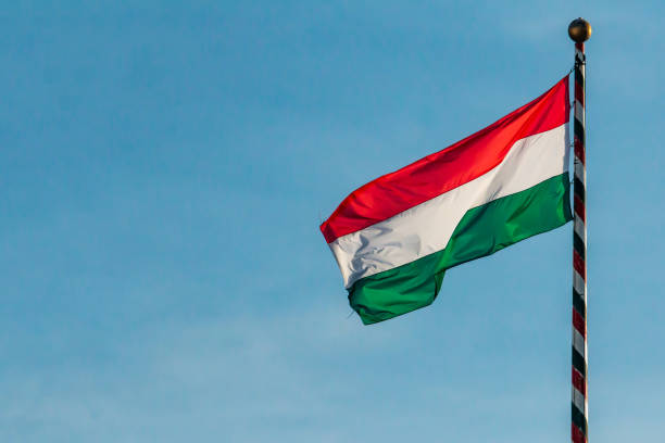 istock Hungarian national flag 1272975282