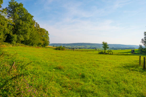 istock Fields and trees in a green hilly grassy landscape under a blue sky in sunlight at fall 1272977140