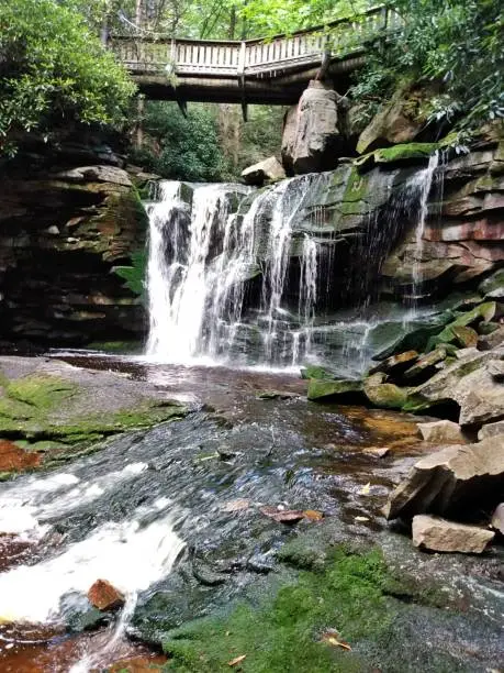 Photo of Elakala Falls at Blackwater Falls State Park, WV