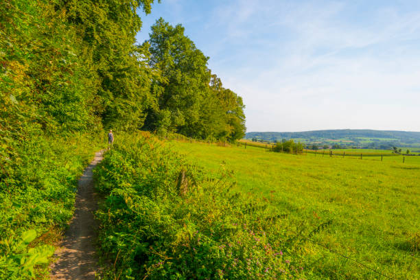 istock Fields and trees in a green hilly grassy landscape under a blue sky in sunlight at fall 1272977782
