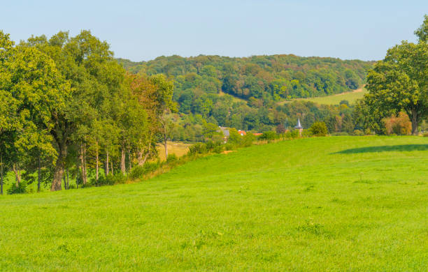 istock Fields and trees in a green hilly grassy landscape under a blue sky in sunlight at fall 1272977920
