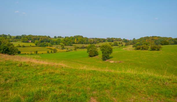 istock Fields and trees in a green hilly grassy landscape under a blue sky in sunlight at fall 1272977996