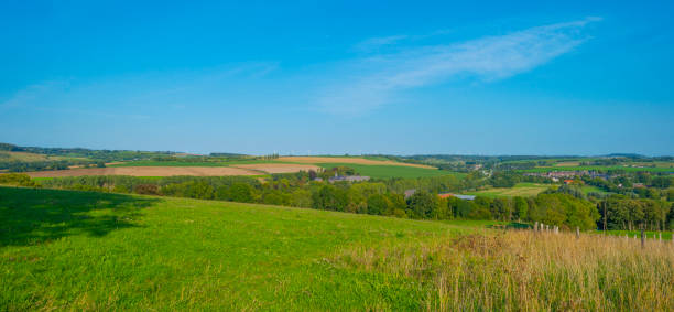 istock Fields and trees in a green hilly grassy landscape under a blue sky in sunlight at fall 1272978070