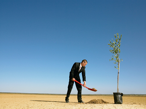 Businessman planting tree in desert