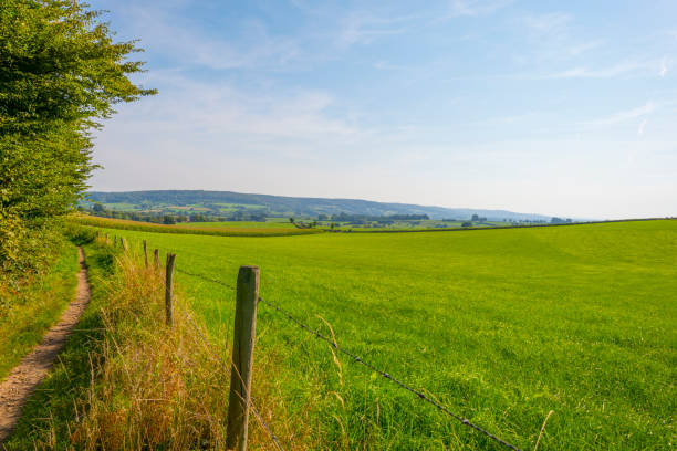 istock Fields and trees in a green hilly grassy landscape under a blue sky in sunlight at fall 1272978290