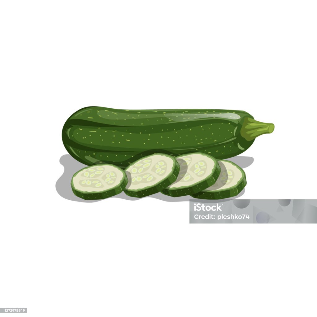 Fresh Zucchini With Slices In Cartoon Style Vector Illustration Of Farm Fresh Vegetable Organic Food Isolated On White Background Stock Illustration - Download Image Now - iStock Fresh Zucchini With Slices In Cartoon Style Vector Illustration Of Farm Fresh Vegetable Organic Food Isolated On White Background Stock Illustration - Download Image Now - iStock