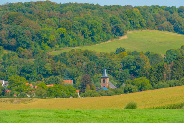 istock Fields and trees in a green hilly grassy landscape under a blue sky in sunlight at fall 1272979742