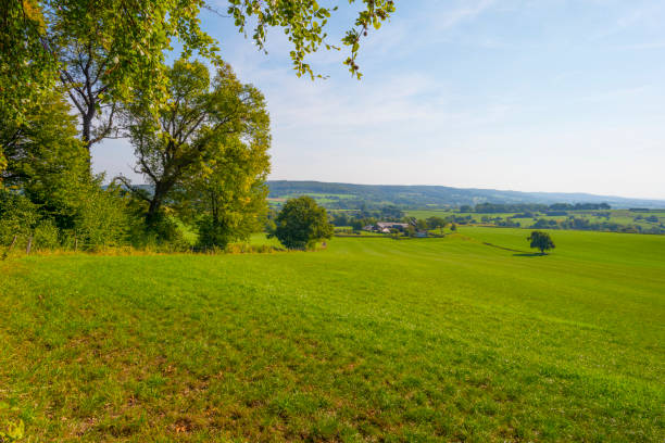 istock Fields and trees in a green hilly grassy landscape under a blue sky in sunlight at fall 1272979955