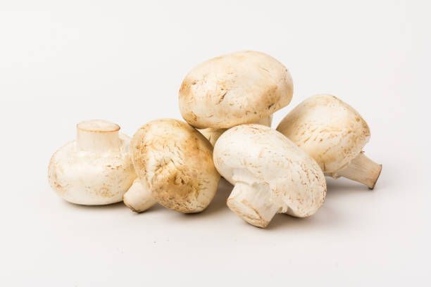 istock Fresh Champignon mushroom, isolated on white background. Close-up 1272979988