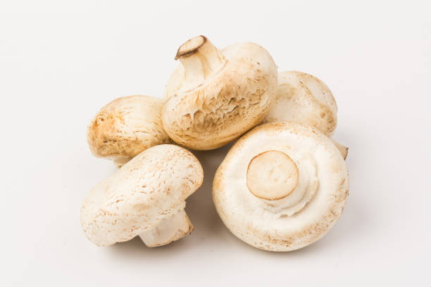 istock Fresh Champignon mushroom, isolated on white background. Close-up 1272979990
