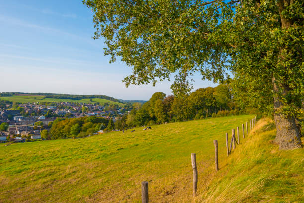 istock Fields and trees in a green hilly grassy landscape under a blue sky in sunlight at fall 1272980022