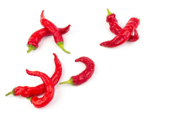 Hot red chili or chilli pepper isolated on white background.