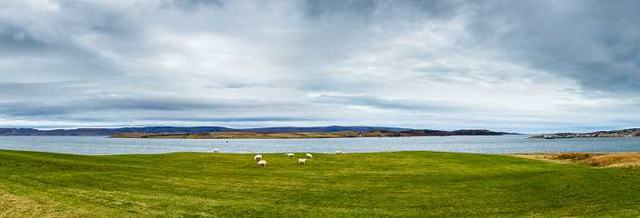 View of a cloudy landscape over green scottish meadow with sheeps, lake and hills