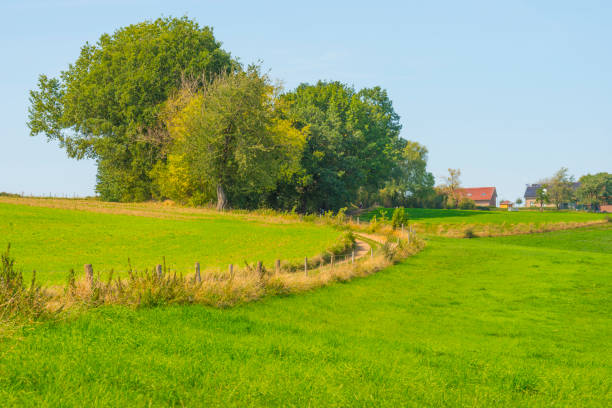 istock Fields and trees in a green hilly grassy landscape under a blue sky in sunlight at fall 1272980860