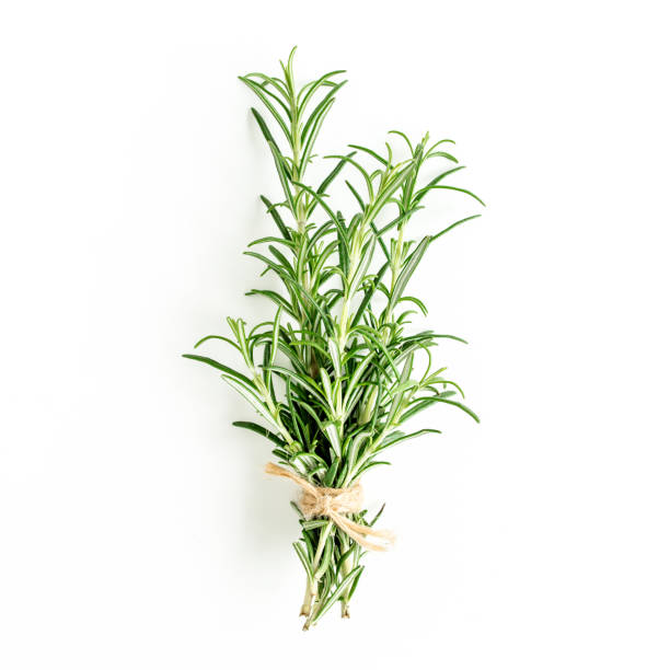 istock Green bundle of rosemary isolated on a white background. Herbs. Flat lay. Top view 1272981165