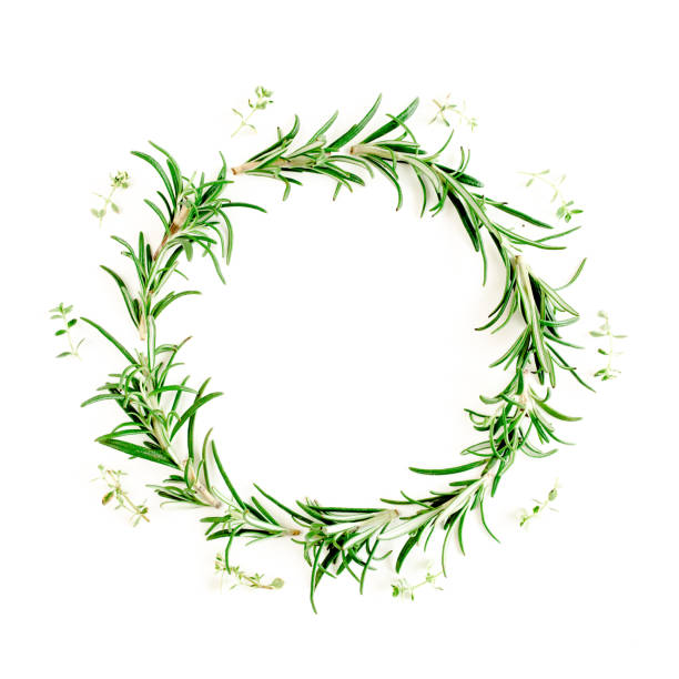 istock Round wreath frame made herbs, green branches, leaves rosemary. Flat lay. Top view 1272981251