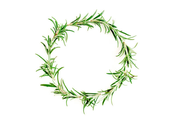 istock Round wreath frame made herbs, green branches, leaves rosemary. Flat lay. Top view 1272981466