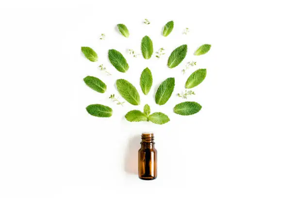 Essential oil and greenmint leaves on white background. Medicinal herbs. Flat lay. Top view. High quality photo