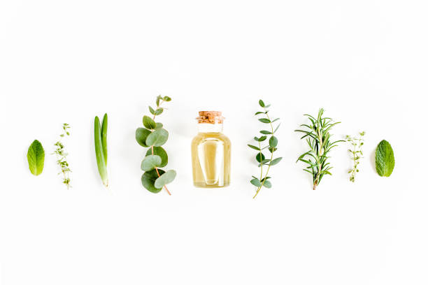 Essential oil and mix of herbs, green branches, leaves eucalyptus, aloe Vera, rosemary, thyme on white background. Flat lay. Top view Essential oil and mix of herbs, green branches, leaves eucalyptus, aloe Vera, rosemary, thyme on white background. Set of medicinal herbs. Flat lay. Top view. High quality photo huile essentielle stock pictures, royalty-free photos & images