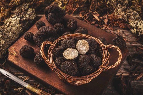 istock Black truffle mushrooms 1272982090