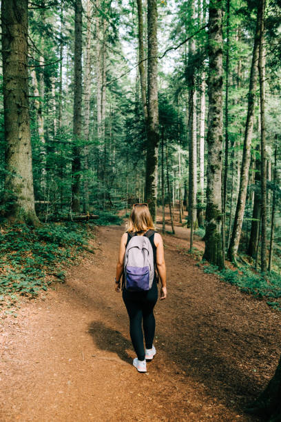 istock Young female nature explorer in the forest 1272982255