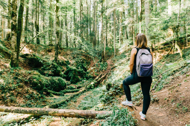 istock Young female nature explorer in the forest 1272982262