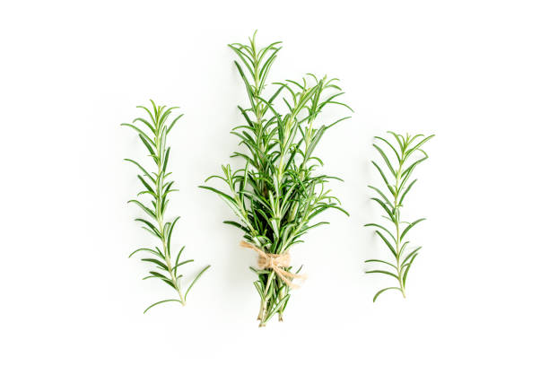 istock Green bundle of rosemary isolated on a white background. Herbs. Flat lay. Top view 1272982940