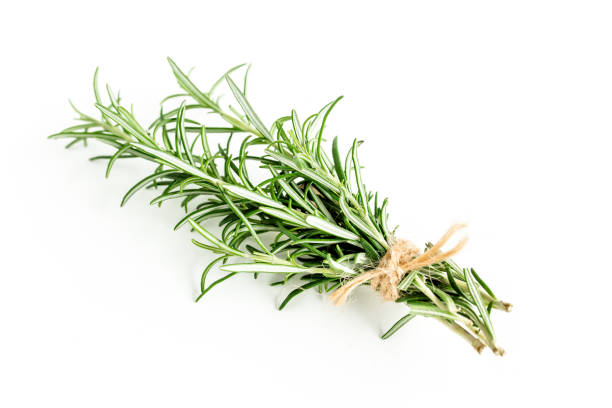 istock Green bundle of rosemary isolated on a white background. Herbs. Flat lay. Top view 1272983348