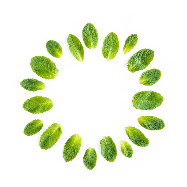 istock Wreath frame made of mint leaves isolated on white background. Set of peppermint. Mint Pattern. Flat lay. Top view 1272983714
