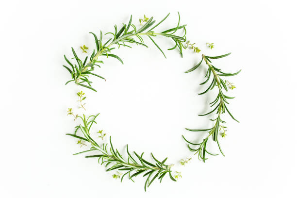 istock Round wreath frame made herbs, green branches, leaves rosemary. Flat lay. Top view 1272983844