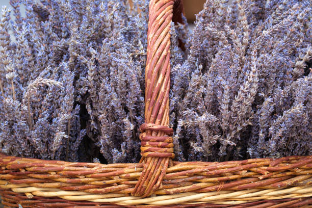 istock Basket of lavender flowers 1272983862