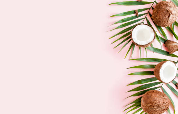 istock Pattern, frame borders with coconuts and tropical palm leaves on pink background. Tropical abstract background. Flat lay, top view 1272986031