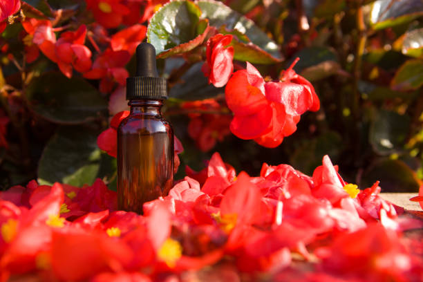 istock Concept - flower aromatherapy, BACH. A bottle with red flowers 1272988389