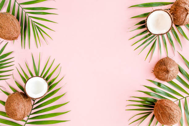 istock Pattern, frame borders with coconuts and tropical palm leaves on pink background. Tropical abstract background. Flat lay, top view 1272989418