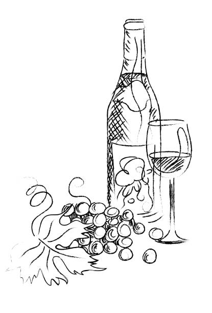 illustrazioni stock, clip art, cartoni animati e icone di tendenza di schizzo del vino - wine bottle illustrations