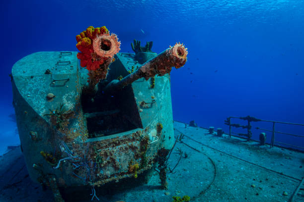 istock MV Captain Keith Tibbetts Shipwreck - Cayman Brac 1272998174