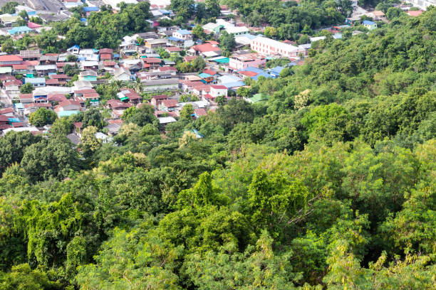 istock Trees on high hills and habitat. 1273002034