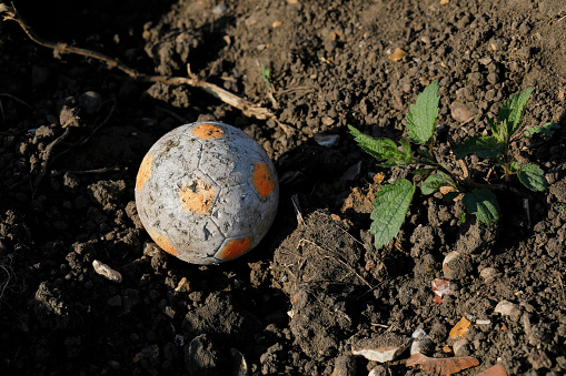 Orange spotted grey rubber ball lost in a garden. The ball is shown on top of soft brown soil.