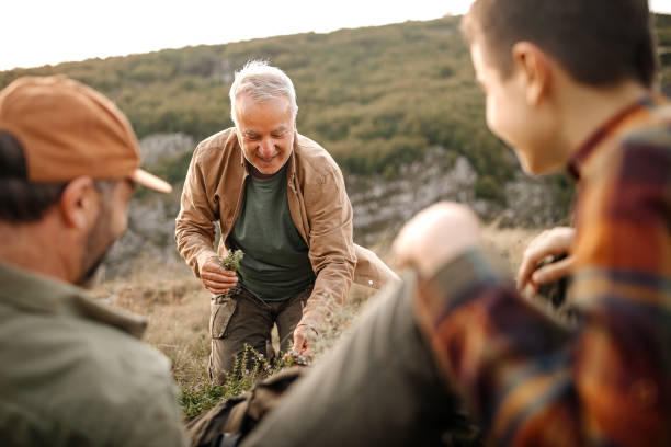 istock Three generations males smelling herbs on hiking tour 1273004864