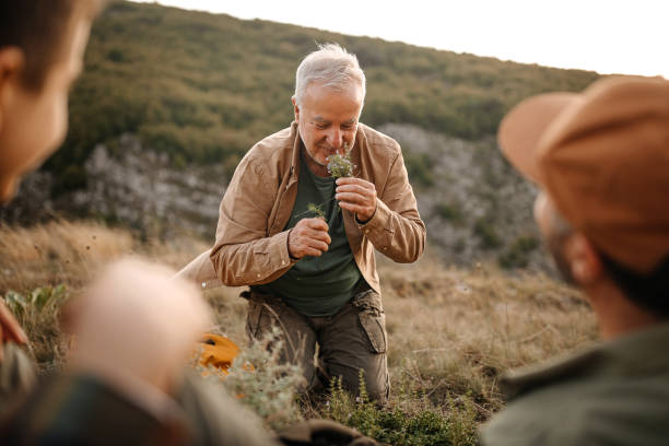 Three generations males smelling herbs on hiking tour