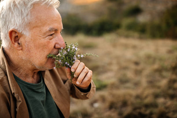 Old man smelling herbs on a picnic