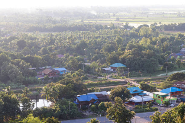 istock Above the rural village with trees. 1273005596