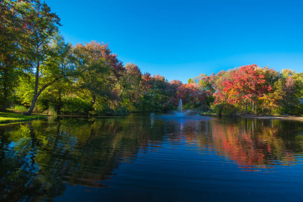 Colors of autumn in japanese garden of Leverkusen : small fountain in pond and some bush with red flowers. Red , yellow, orange colors.